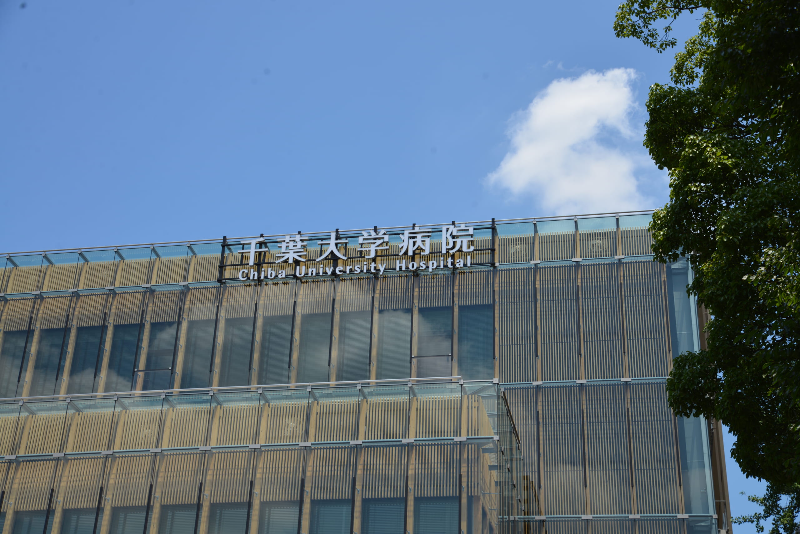 千葉大学ゐのはな同窓会 | 本会は千葉大学医学部・大学院医学研究院 